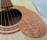 /album/the-02-sassafras/a02sass2-jpg/