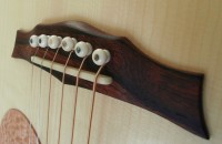 /album/the-02-sassafras/a02sass3-jpg/