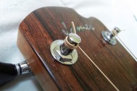 /album/the-02-sassafras/a02sass4-jpg/