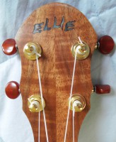 /album/ellies-ukulele/uk3-jpg/